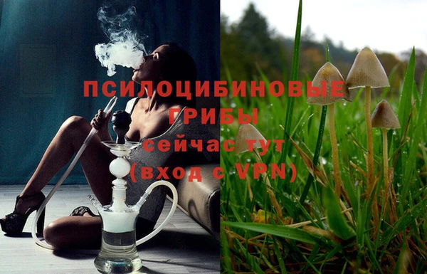 шишки Переславль-Залесский
