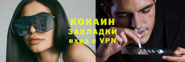 шишки Переславль-Залесский