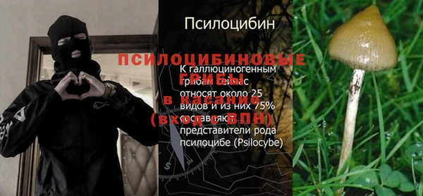 mix Абаза