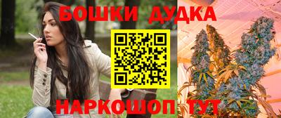 гашик Обнинск