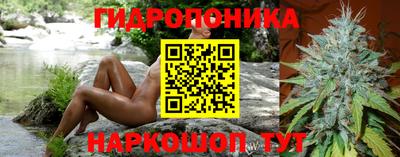 стафф Обь