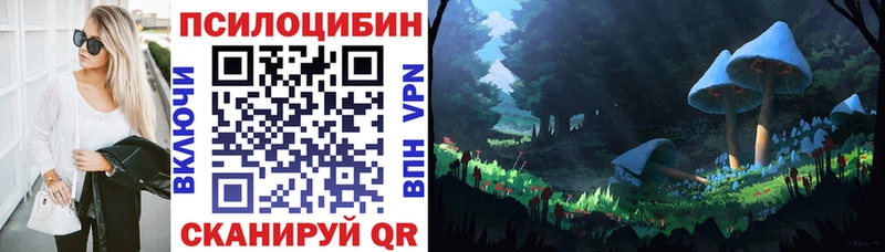 купить   Юрга  Галлюциногенные грибы Psilocybine cubensis 