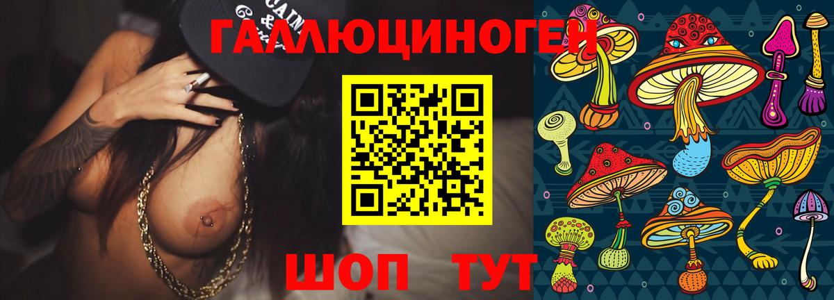 Юрга  Псилоцибиновые грибы Psilocybe  Вход с VPN 