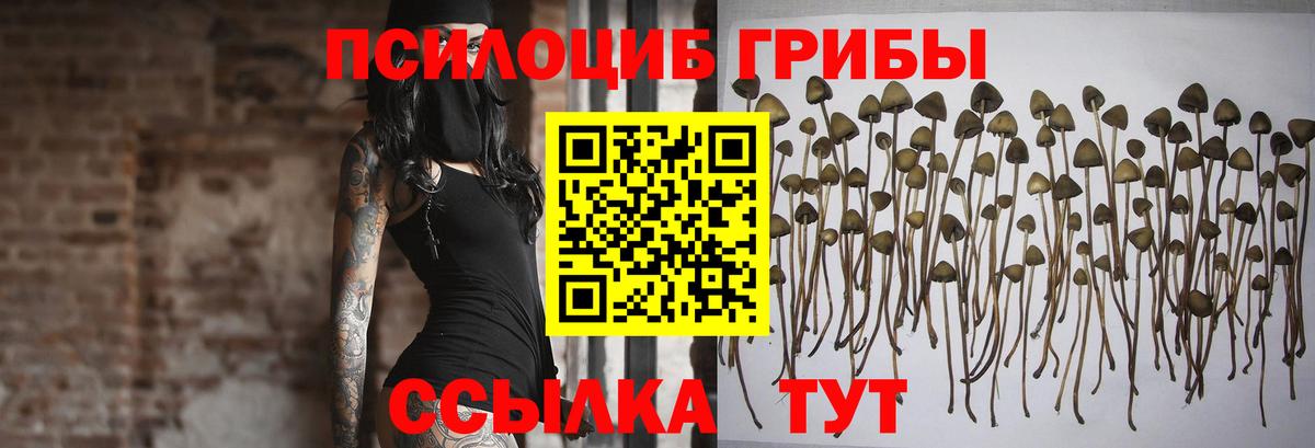 Галлюциногенные грибы мухоморы Юрга
